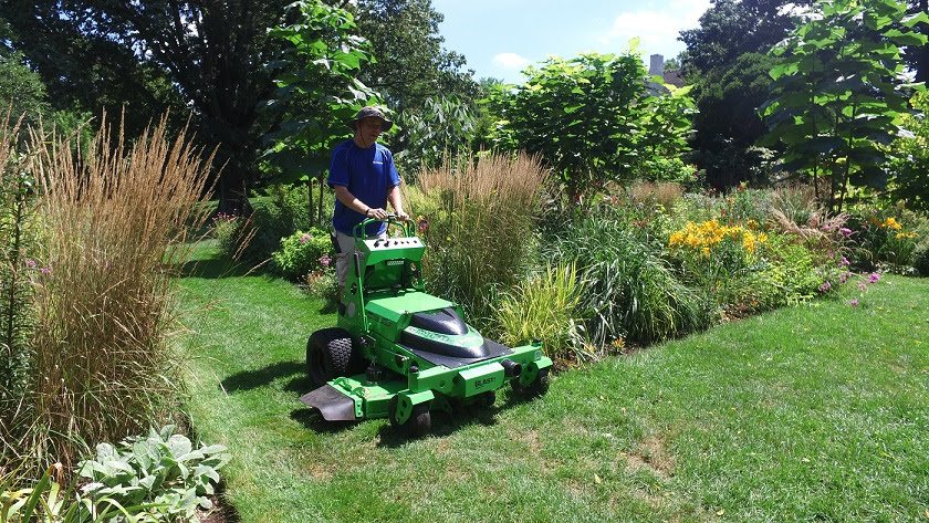 Mowing a garden lawn with a green battery-powered mower